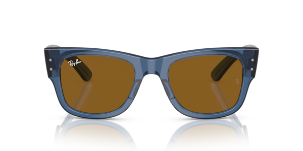 Ray-Ban Ray-Ban Sunglasses in Blue | Target Optical