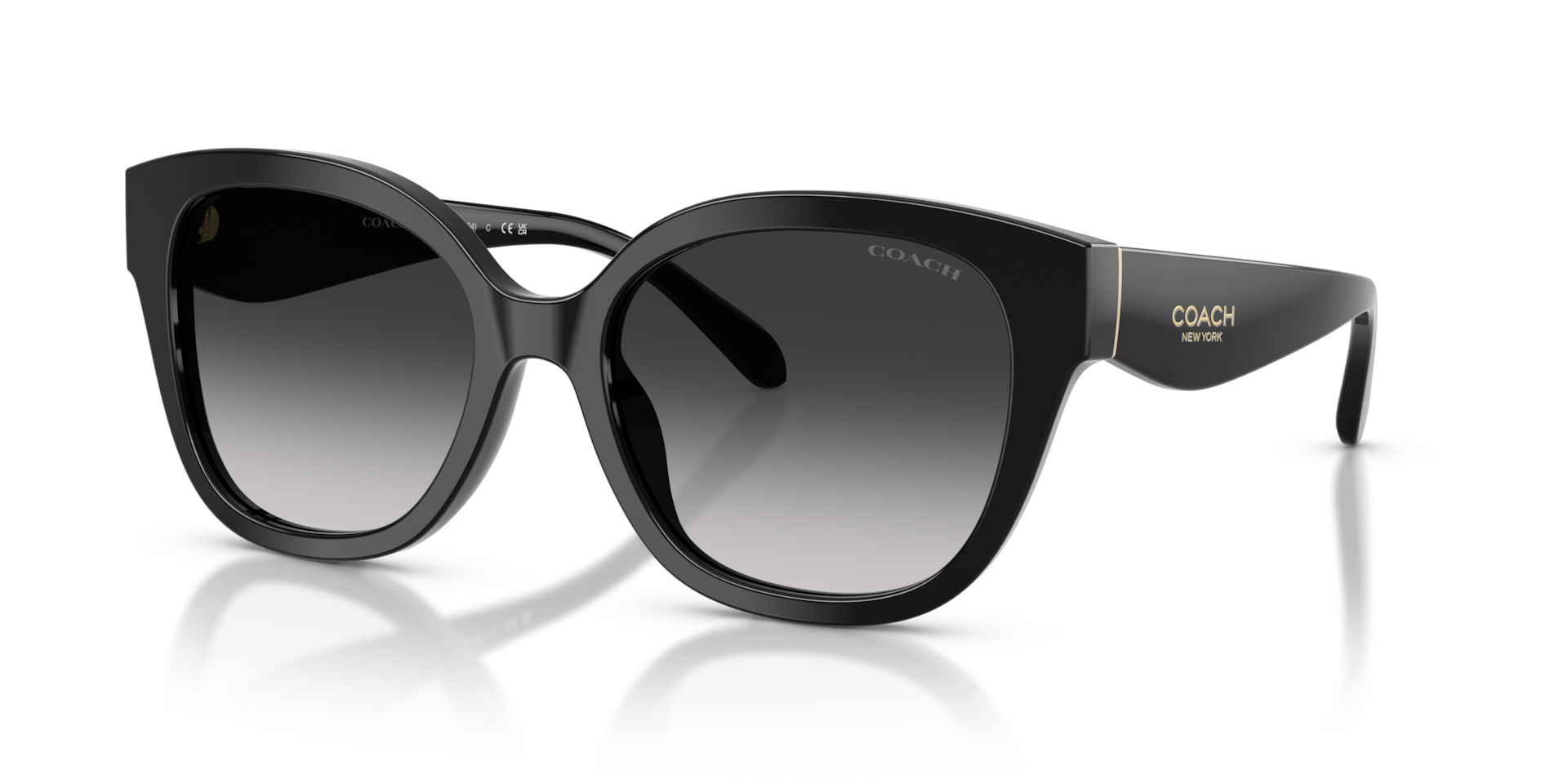 Brand New NWT Coach sunglasses ?.  With case Coach 0HC8438U Sunglasses in Black | Target Optical main image 3