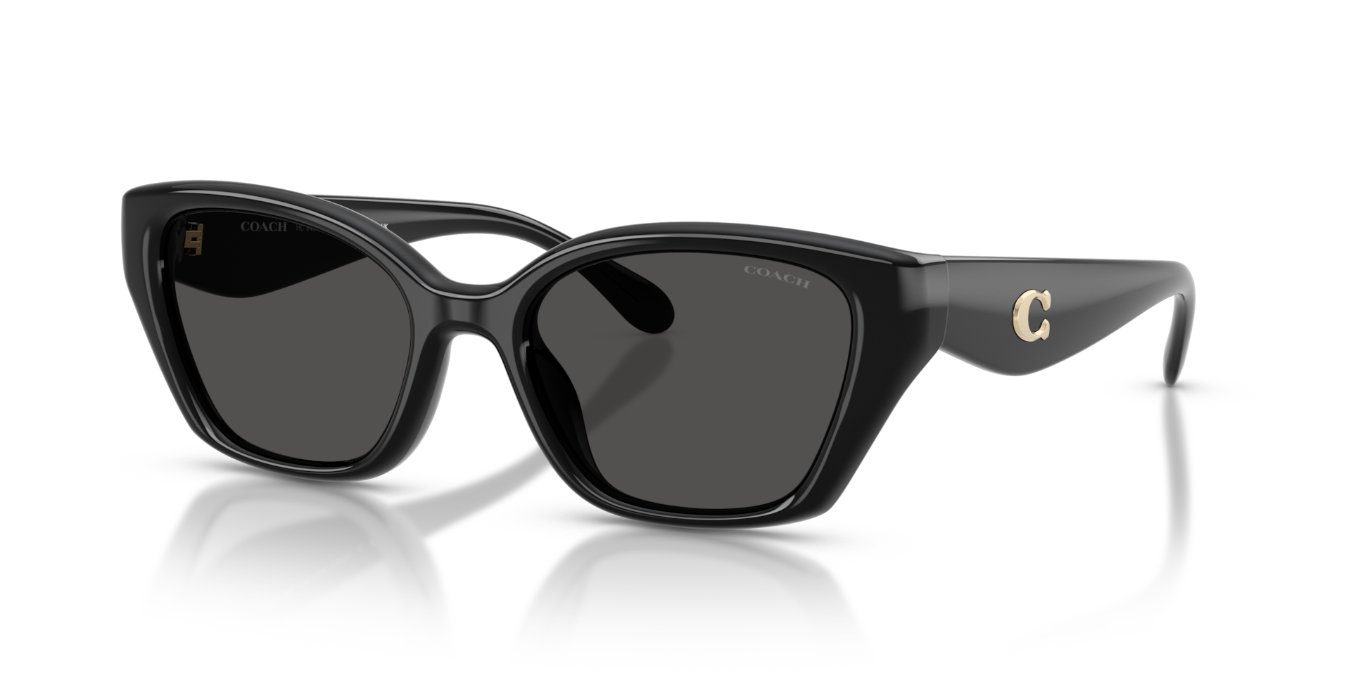 Coach Coach Sunglasses in Black | Target Optical