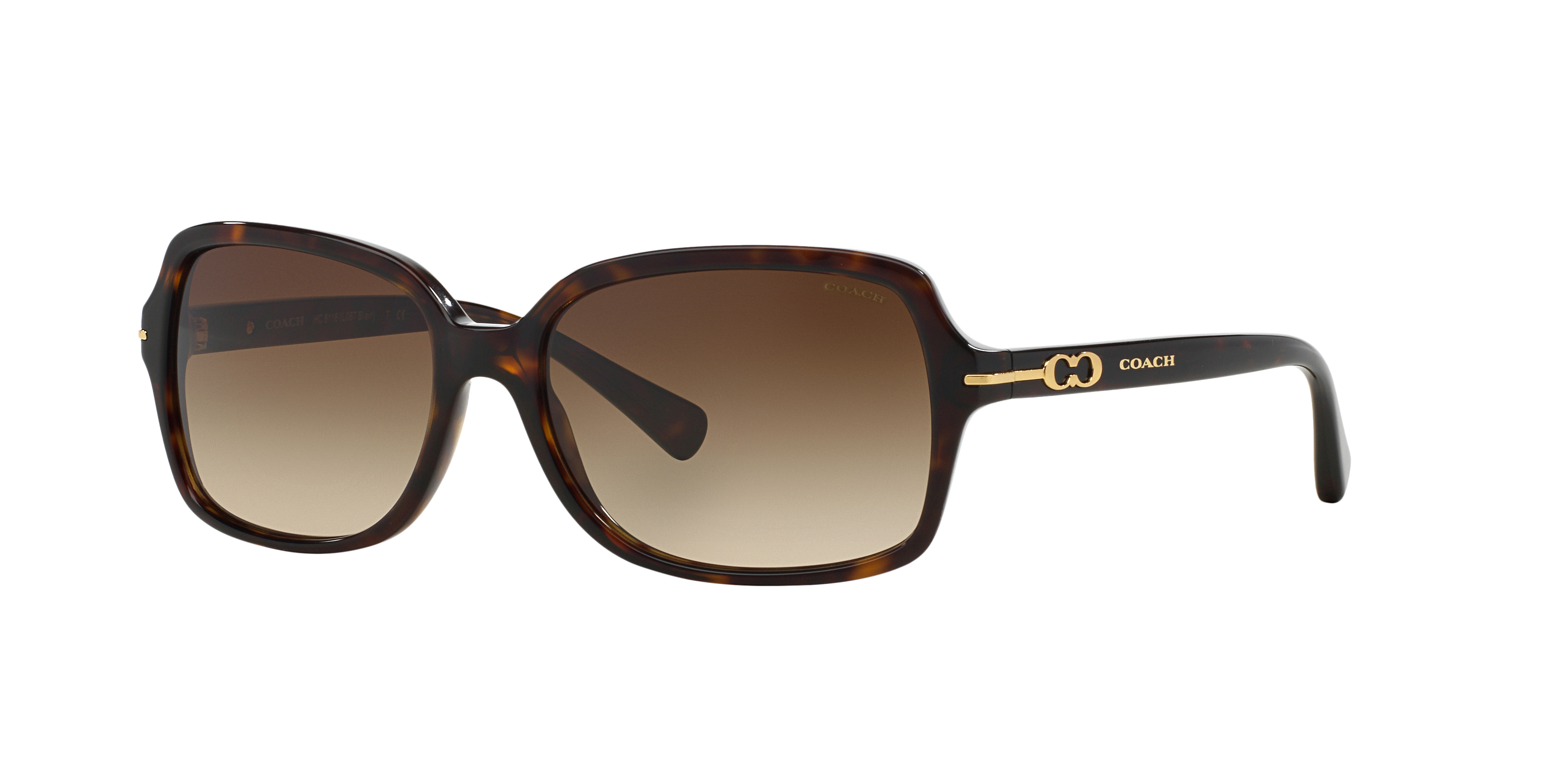Coach 0HC8116 Sunglasses in Tortoise | Target Optical