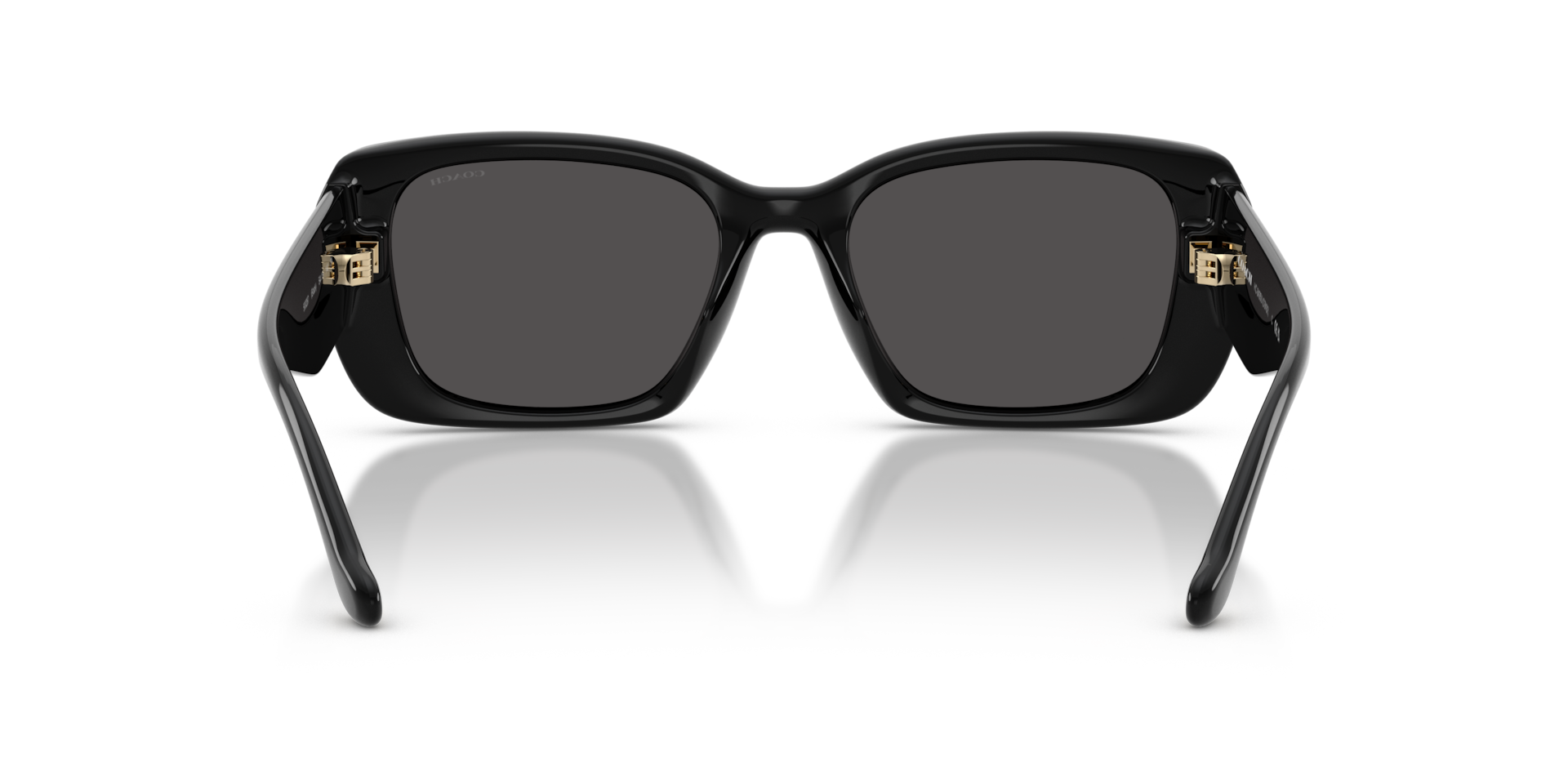 Coach 0HC8435U Sunglasses in Black | Target Optical