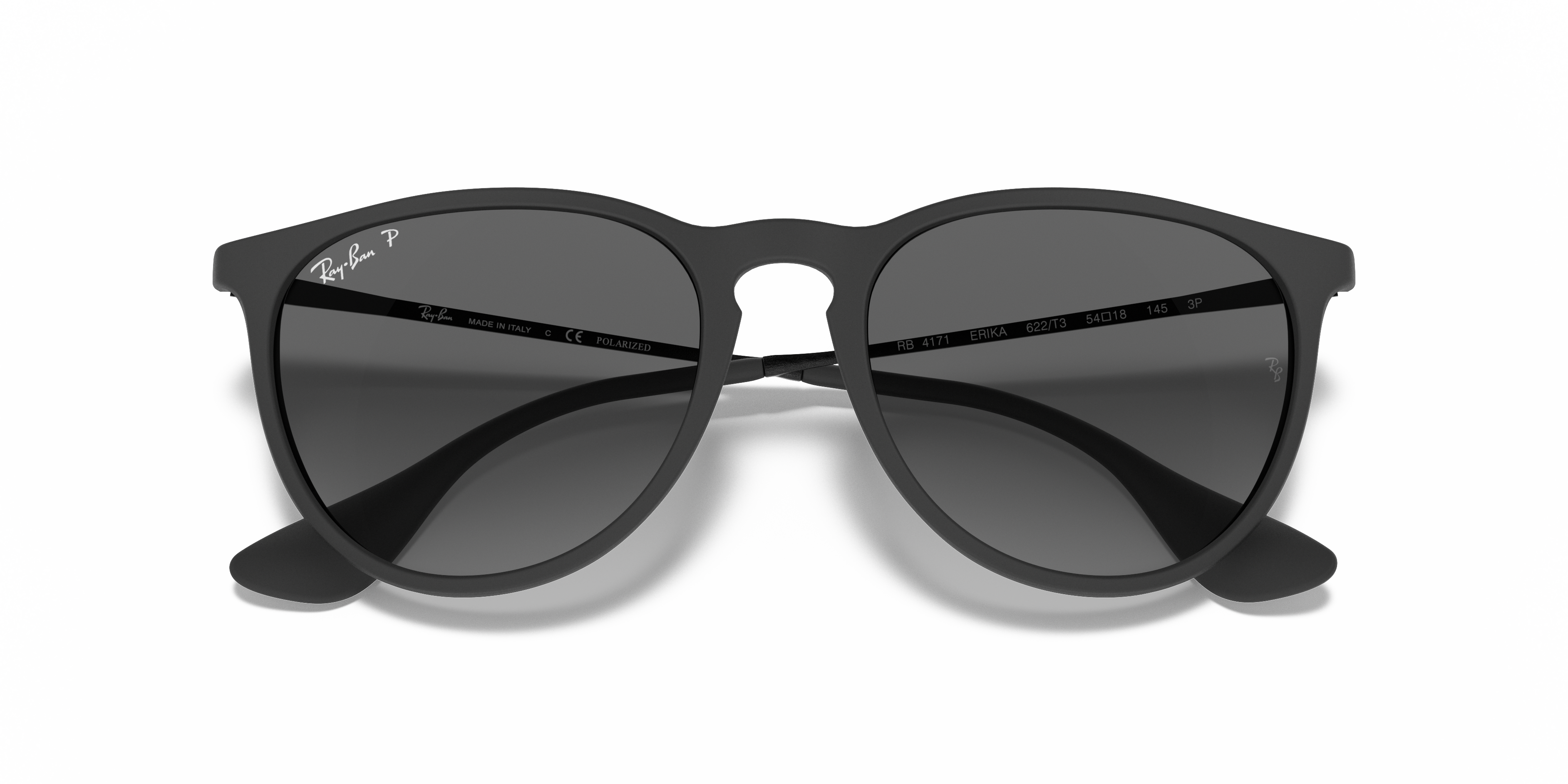 Ray-Ban Ray-Ban Sunglasses in Black | Target Optical