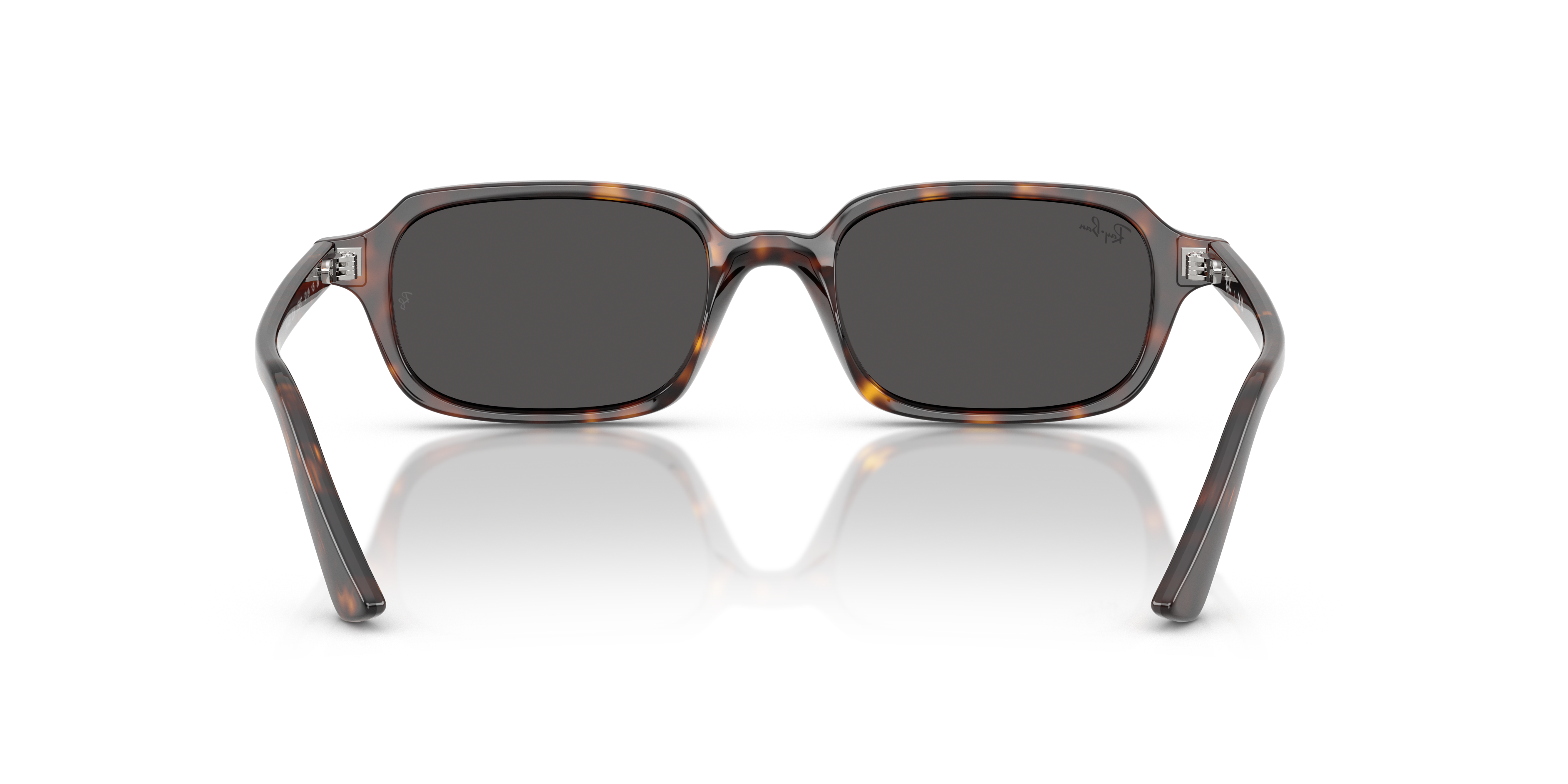 Ray-Ban Ray-Ban Sunglasses in Tortoise | Target Optical