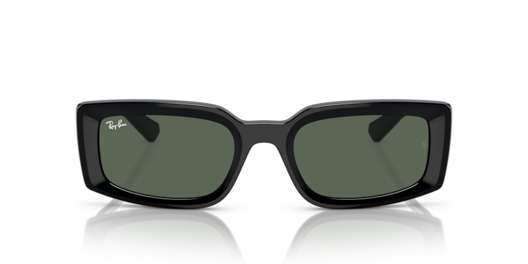 Ray-Ban Ray-Ban Sunglasses in Black | Target Optical
