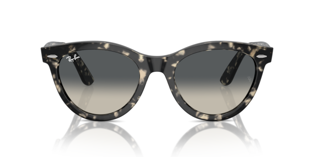 Ray-Ban 0RB2241 Sunglasses in Black | Target Optical