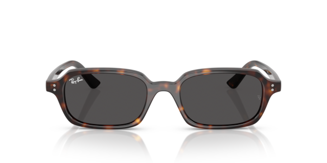 Ray-Ban Ray-Ban Sunglasses in Black | Target Optical