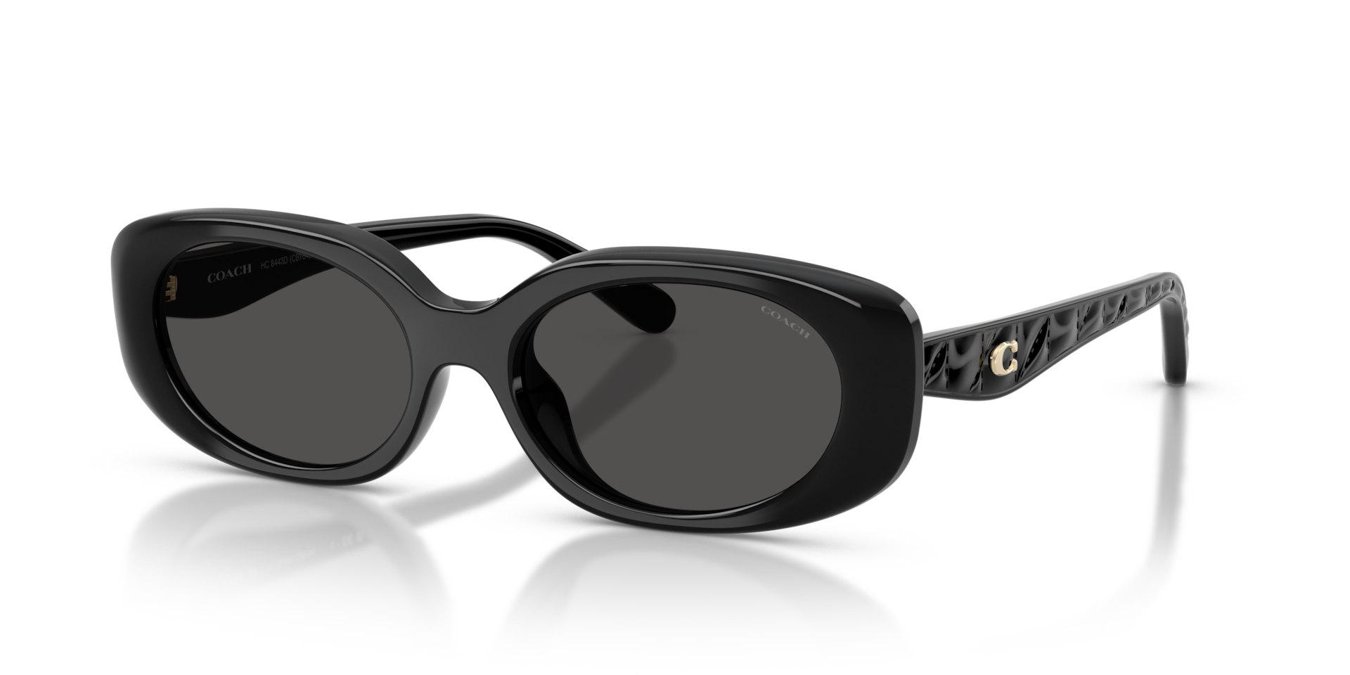 Coach Coach Sunglasses in Black | Target Optical