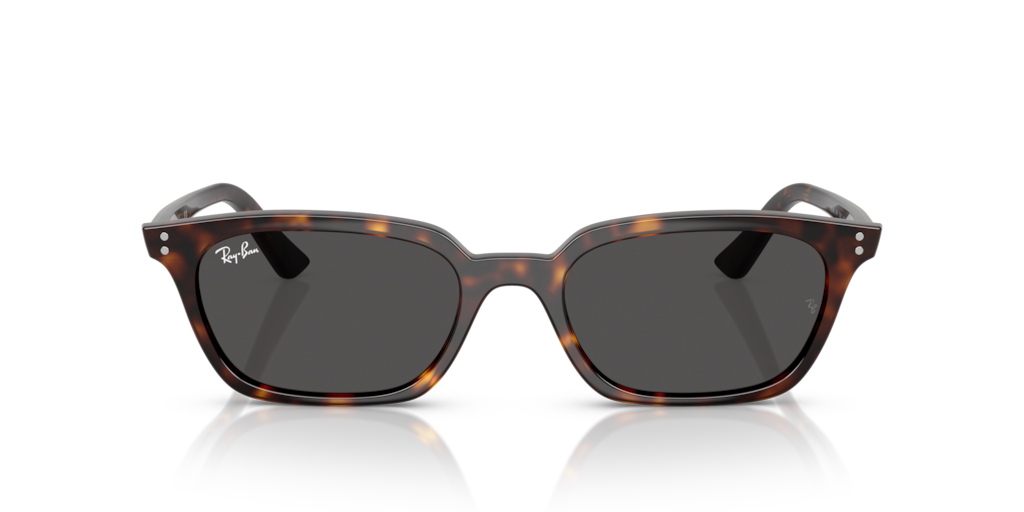 その他 II/ [Blu-ray] [Import] rdzdsi3 Ray-Ban Ray-Ban Sunglasses in Tortoise | Target Optical