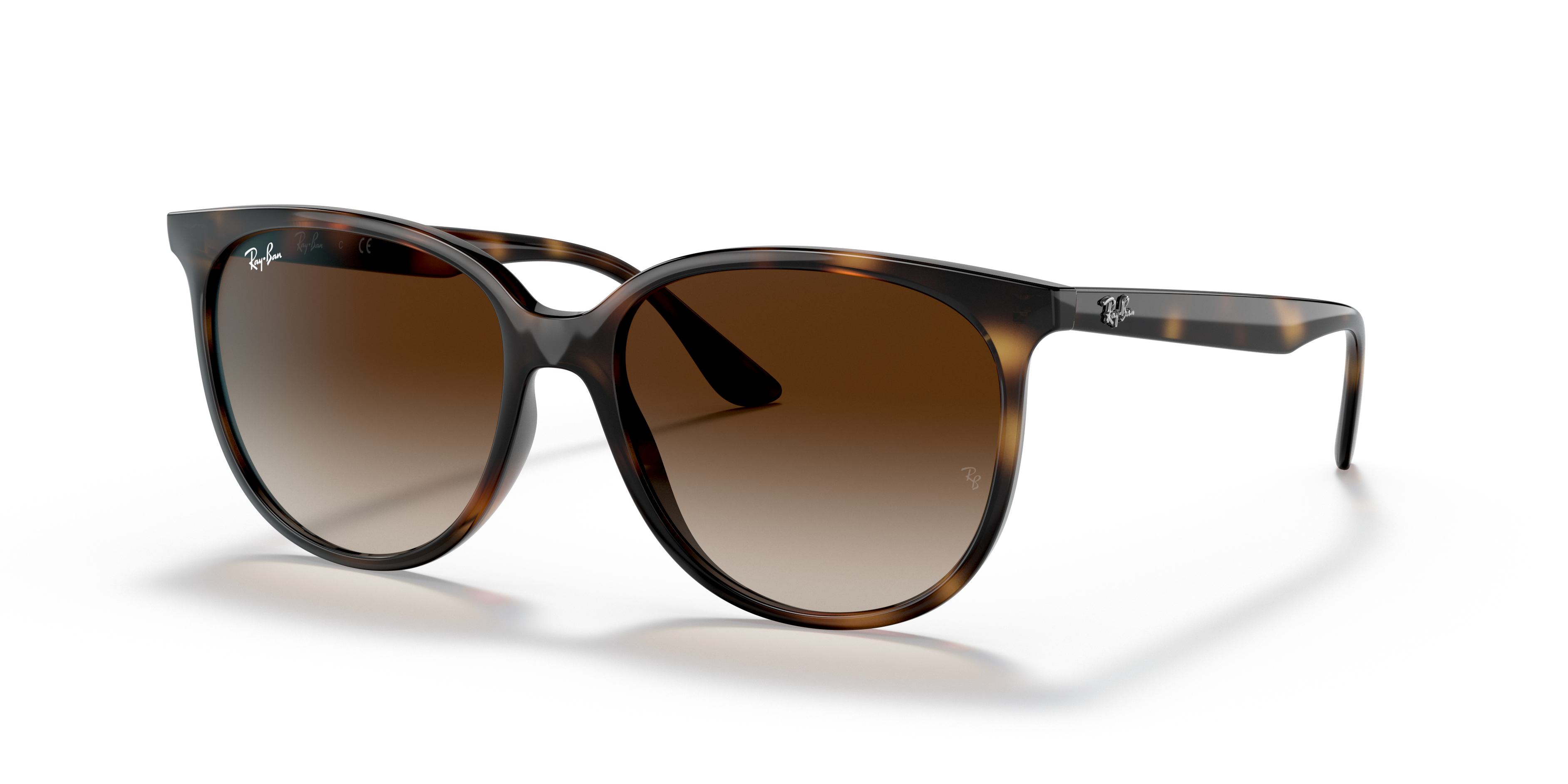 Ray-Ban 0RB4378 Sunglasses in Tortoise | Target Optical