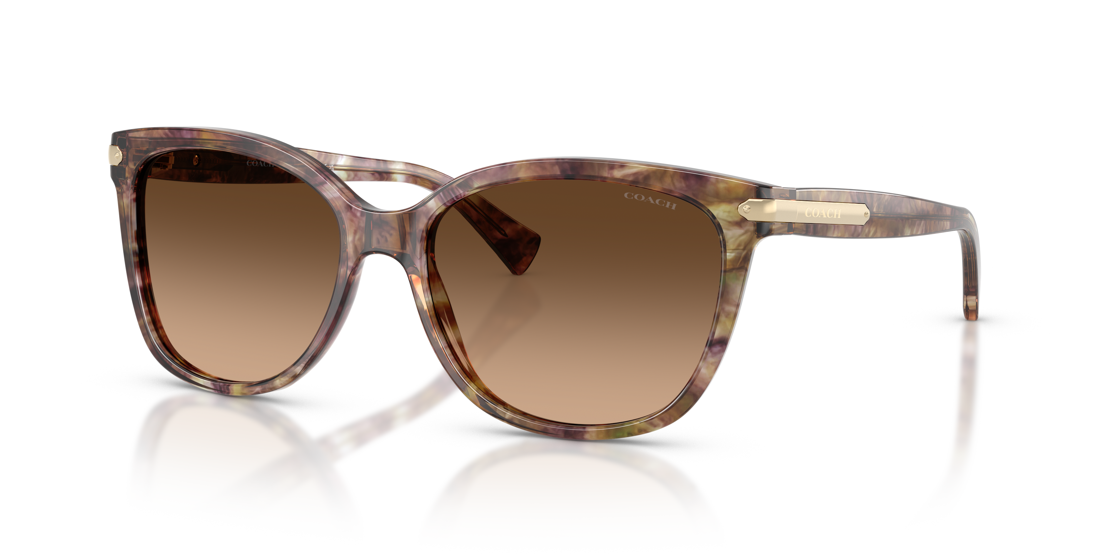 Coach 0HC8132 Sunglasses in Tortoise | Target Optical