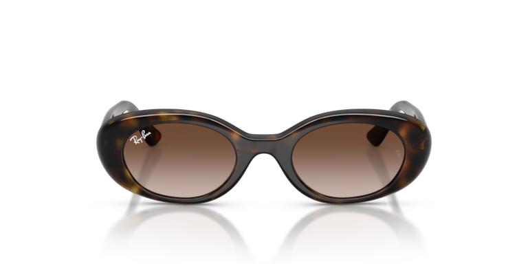 Ray-Ban Ray-Ban Sunglasses in Tortoise | Target Optical display picture 1