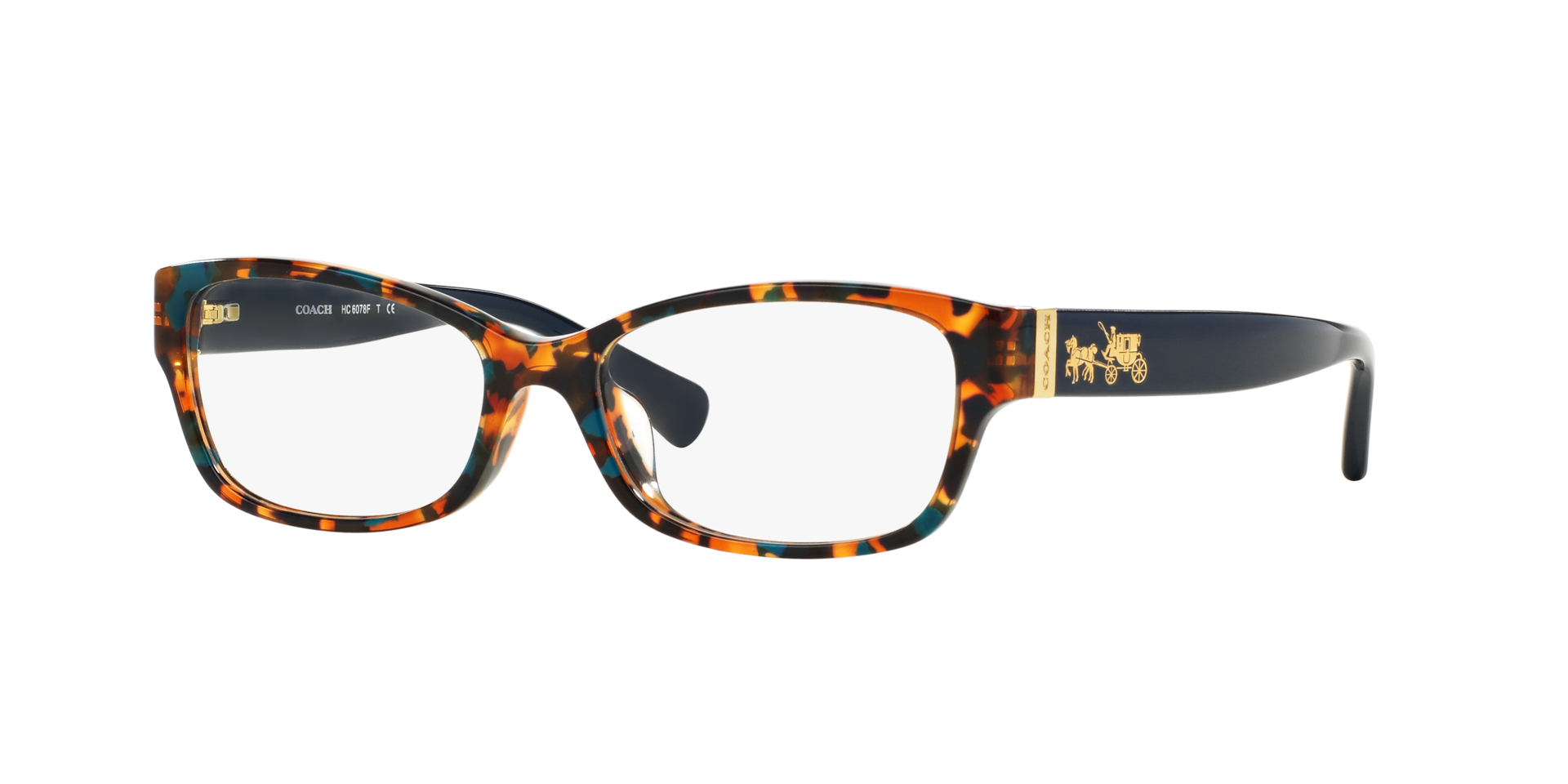 Coach 0HC6078 Glasses in Tortoise | Target Optical
