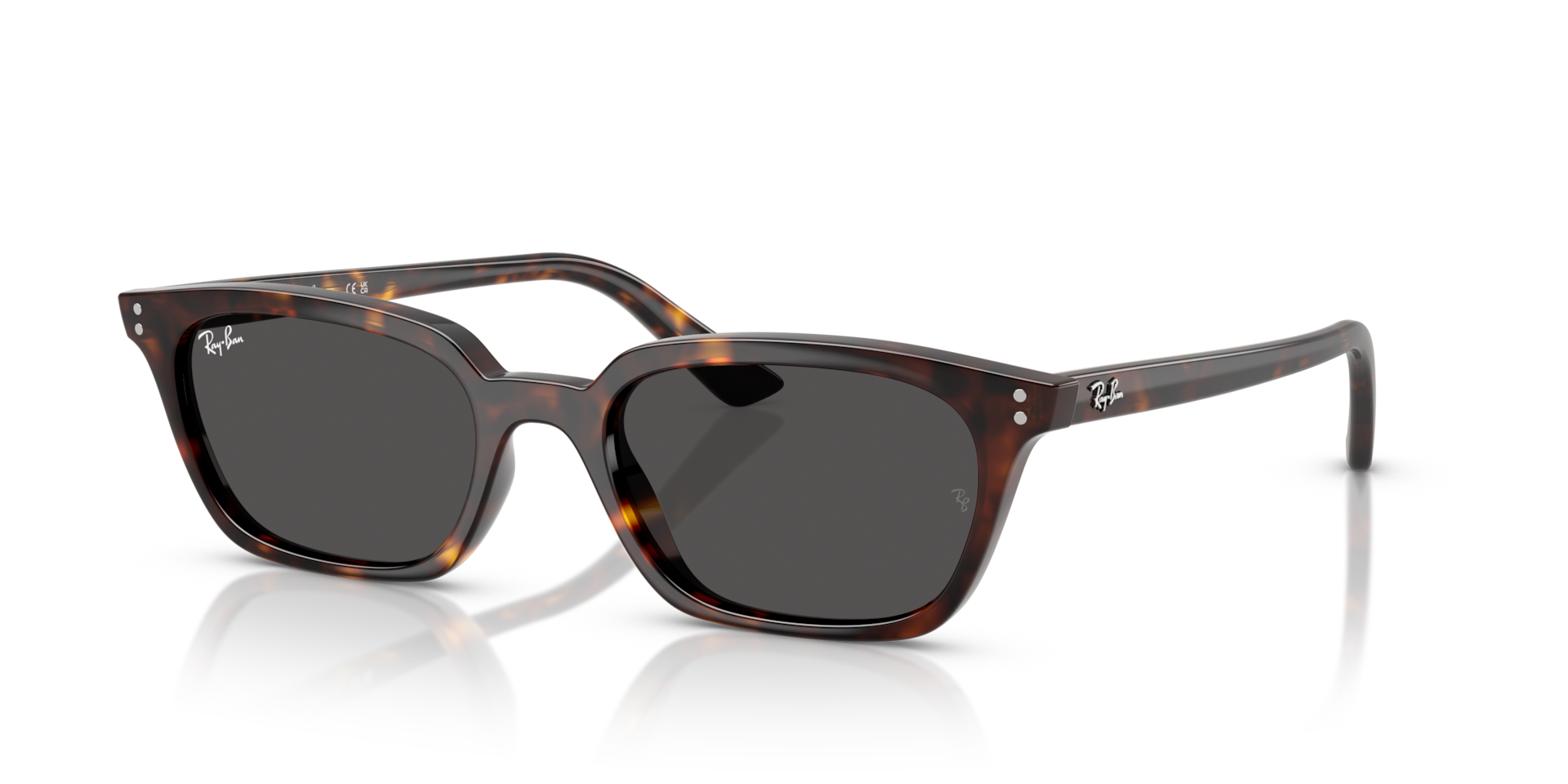 Ray-Ban Ray-Ban Sunglasses in Tortoise | Target Optical