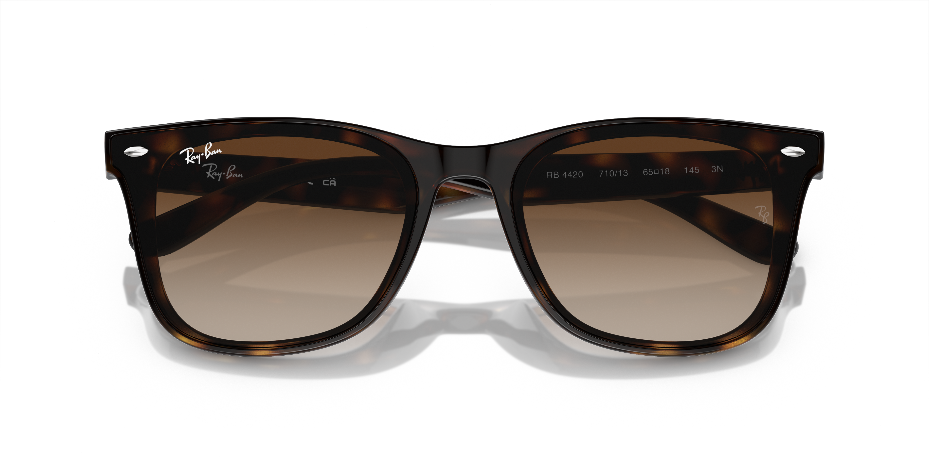 Ray-Ban 0RB4420 Sunglasses in Tortoise | Target Optical
