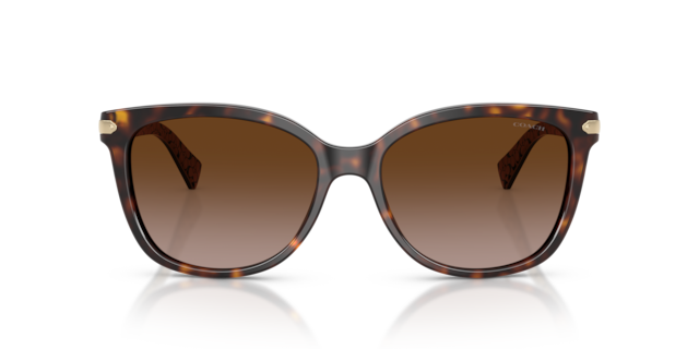 Coach 0HC8132 Sunglasses in Tortoise | Target Optical
