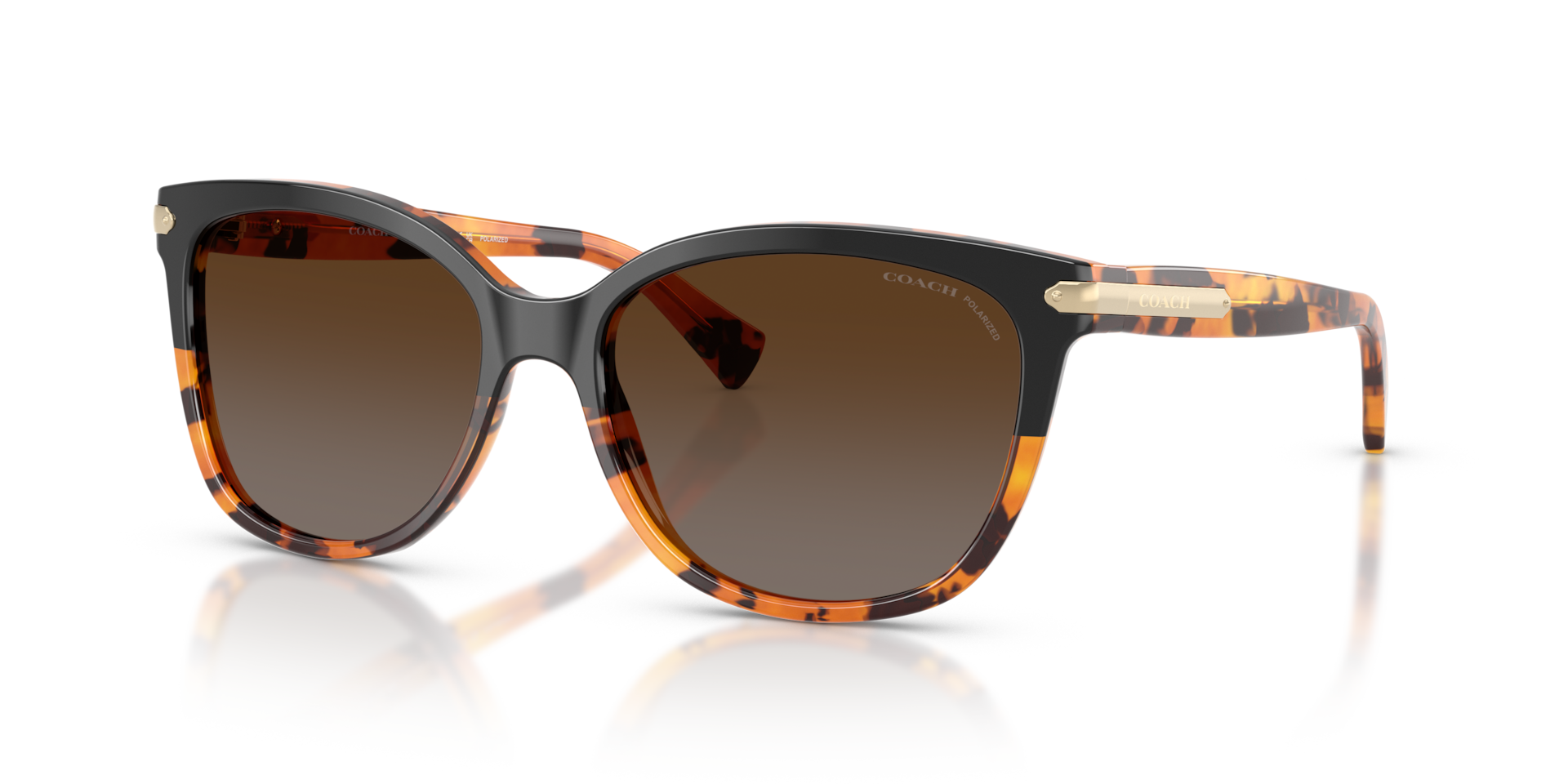 Coach 0HC8132 Sunglasses in Black | Target Optical