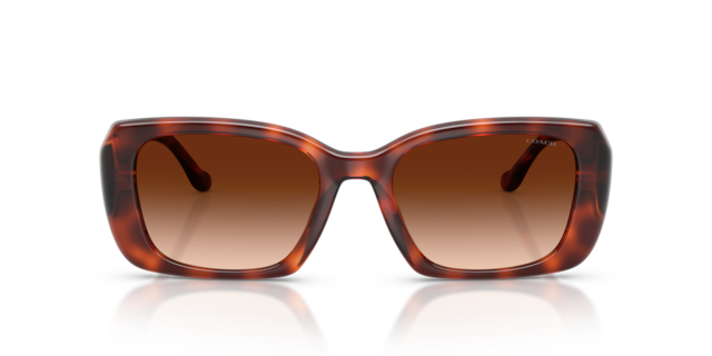 Coach 0HC8435U Sunglasses in Black | Target Optical