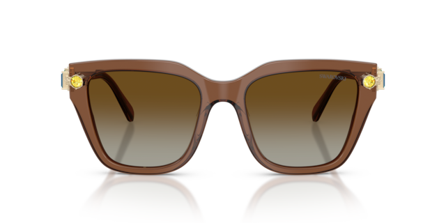 Swarovski 0SK6041 Sunglasses in Black | Target Optical
