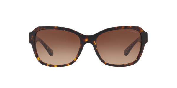 Coach Coach Sunglasses in Tortoise | Target Optical