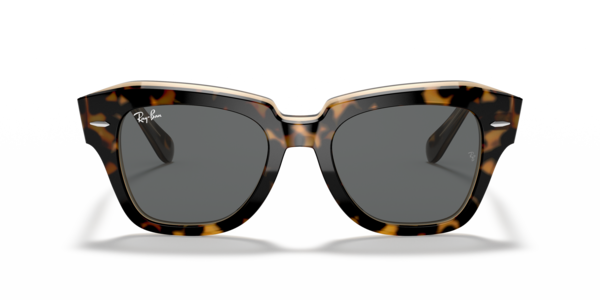 Ray-Ban 0RB2186 Sunglasses in Tortoise | Target Optical