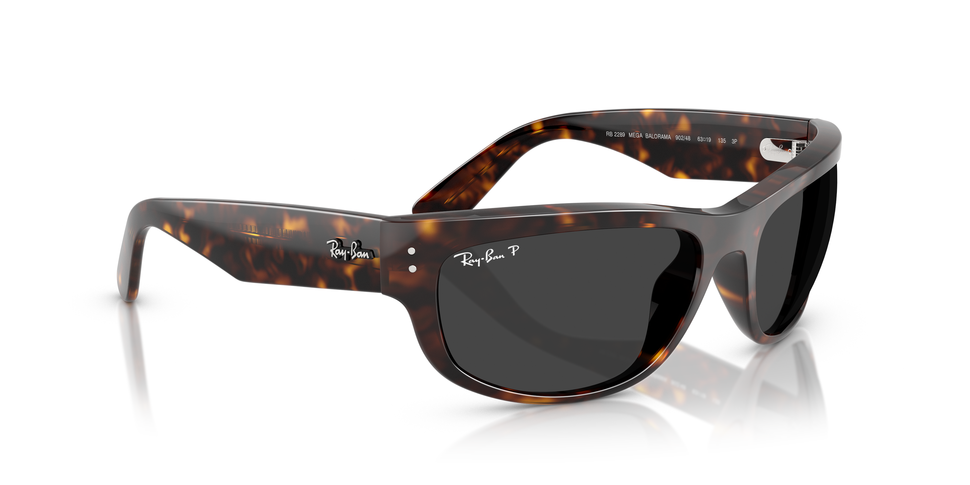 Ray-Ban 0RB2289 Sunglasses in Tortoise | Target Optical
