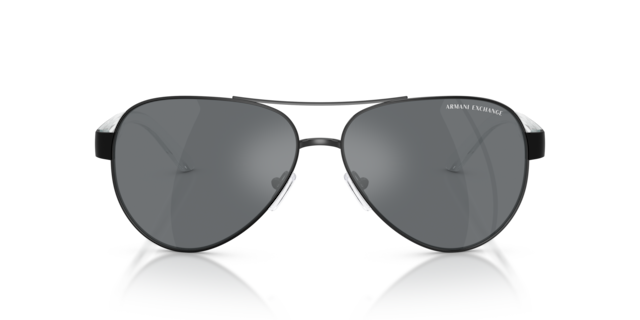 Armani Exchange 0AX2034S Sunglasses in Black | Target Optical