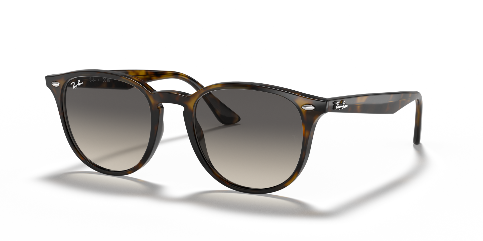 Ray-Ban 0RB4259 Sunglasses in Tortoise | Target Optical